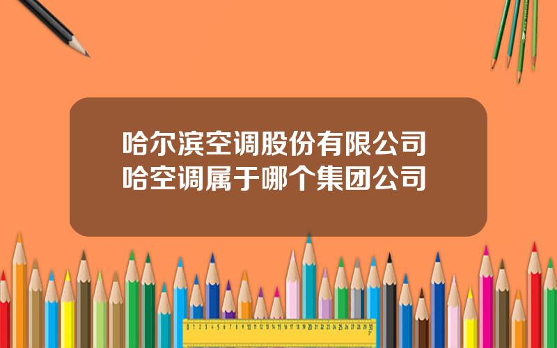 哈尔滨空调股份有限公司 哈空调属于哪个集团公司